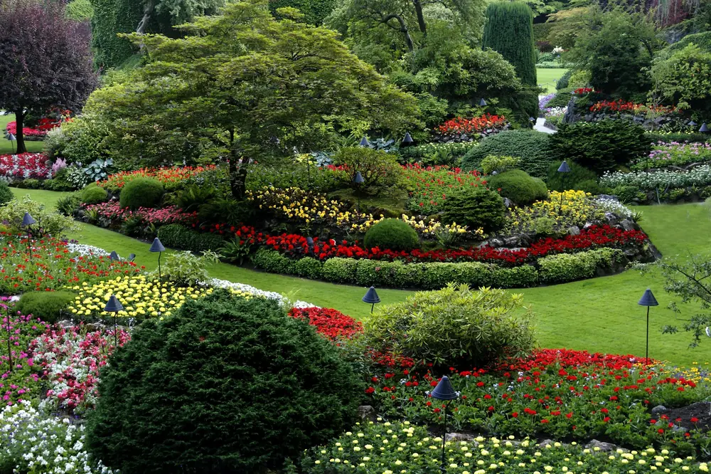 Flower beds