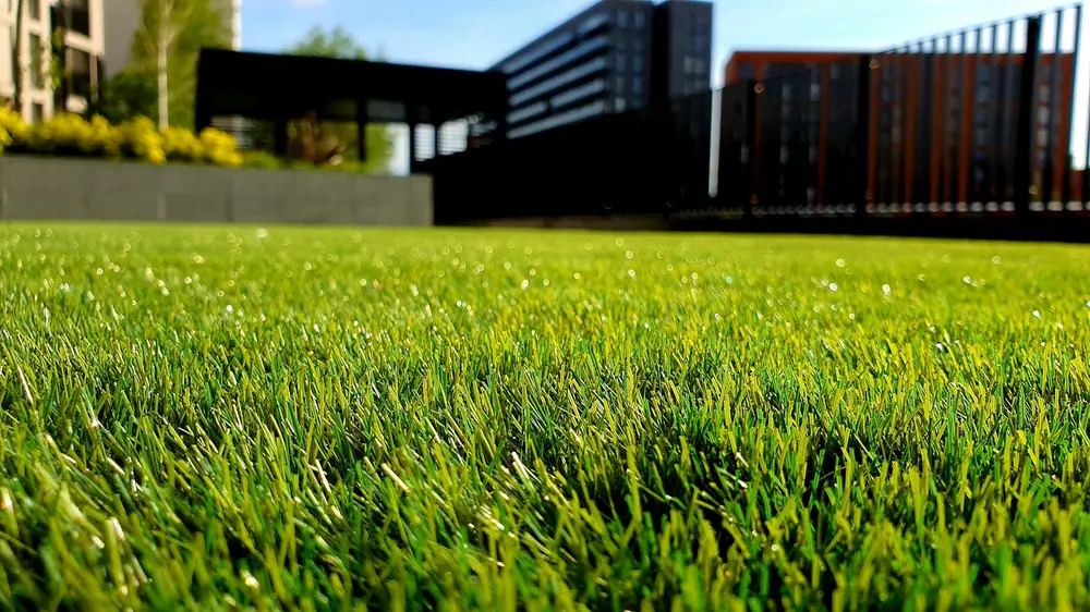 After: fresh lawn