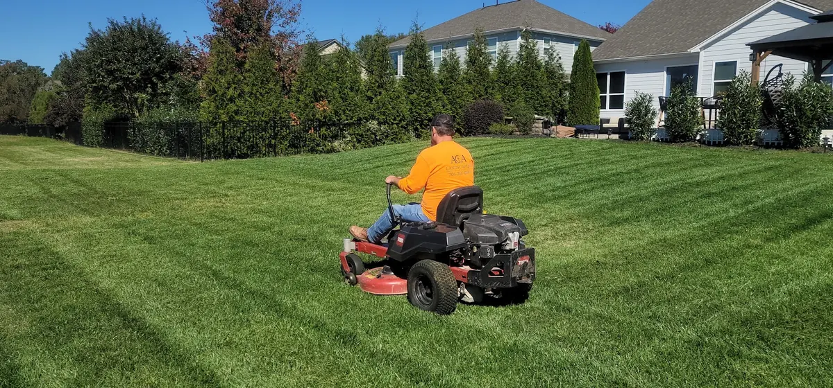 A yard photo
