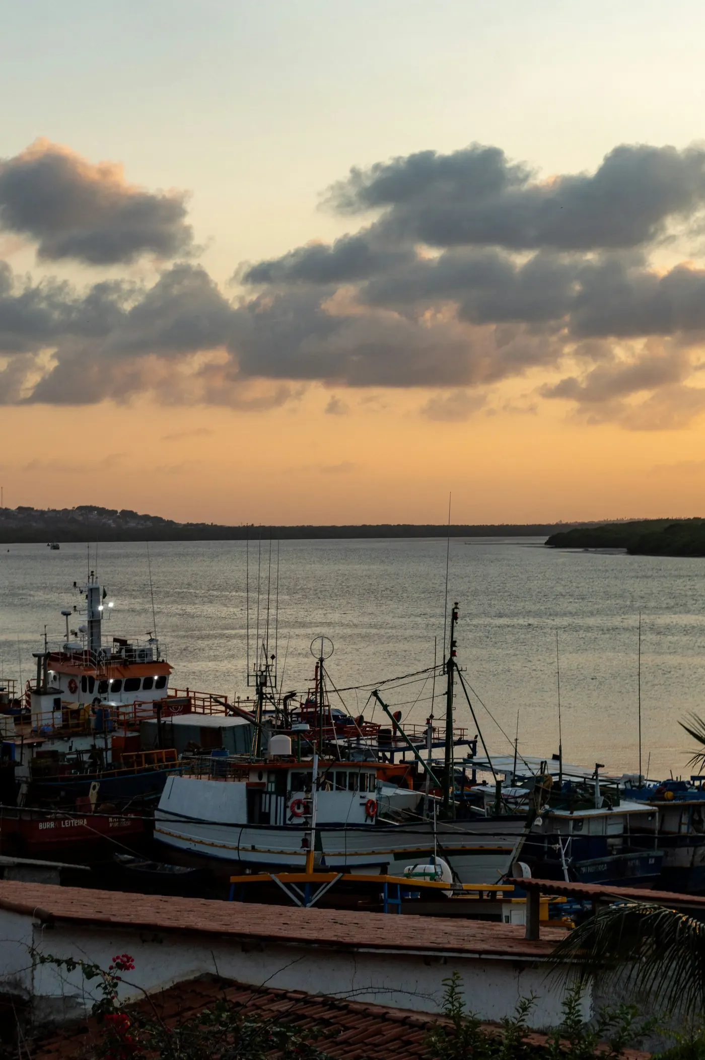 Boats at dusk