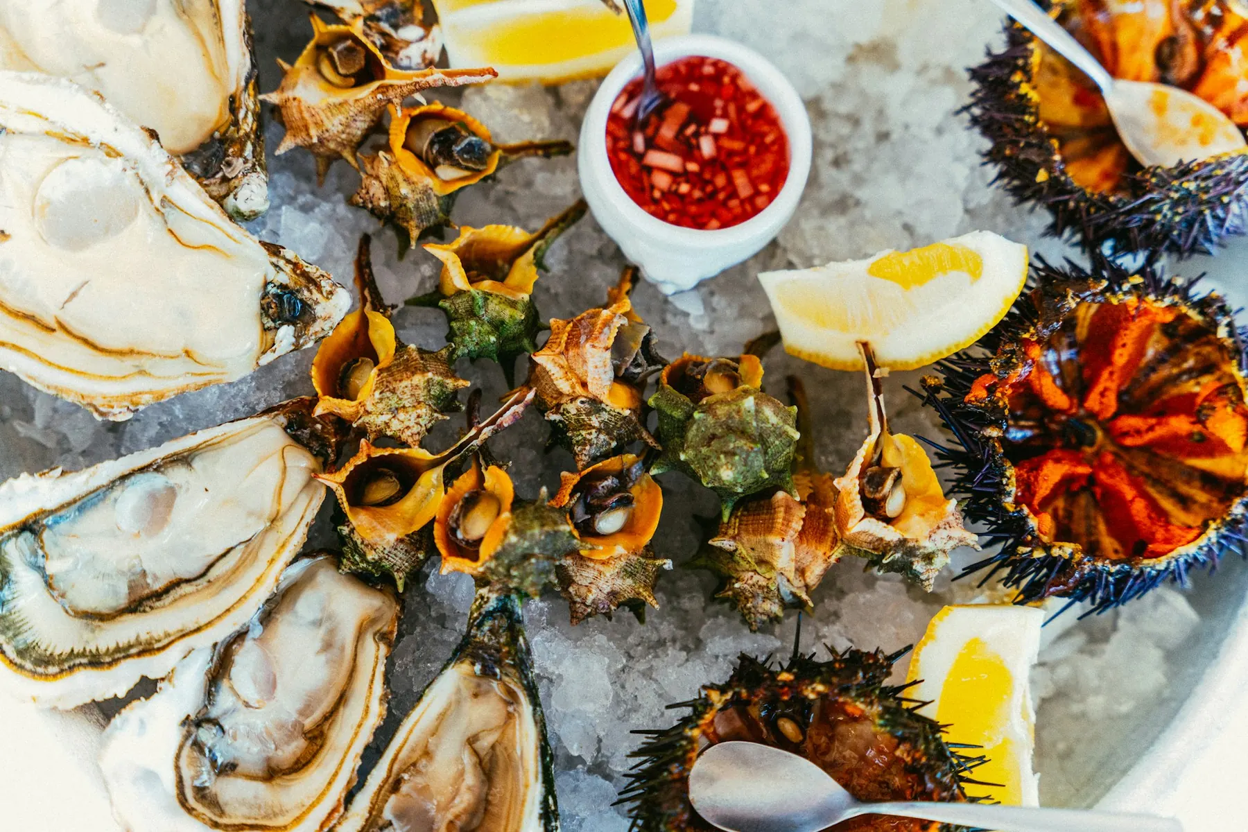 A platter of oysters on ice